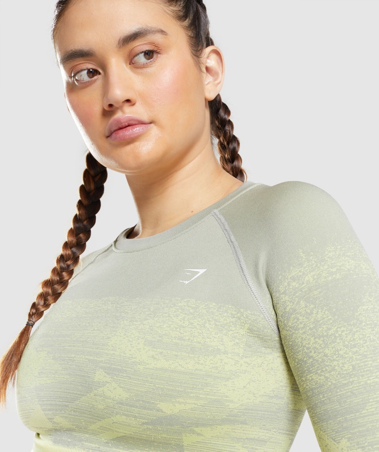 Adapt Ombre Crop Top Trekant-taupe Grå Gymshark