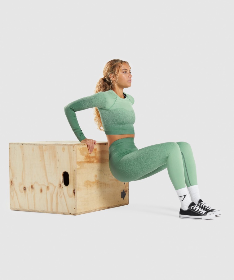 Adapt Ombre Sømløs Langærmet Crop Top Grøn-lysegrøn Gymshark