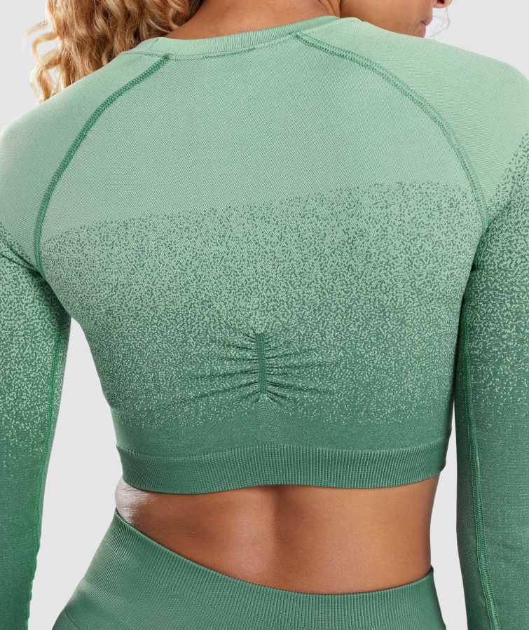 Adapt Ombre Sømløs Langærmet Crop Top Grøn-lysegrøn Gymshark