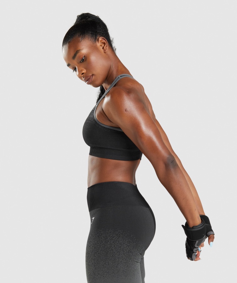 Adapt Ombre Sømløs Sports-bh Sort-grå Gymshark