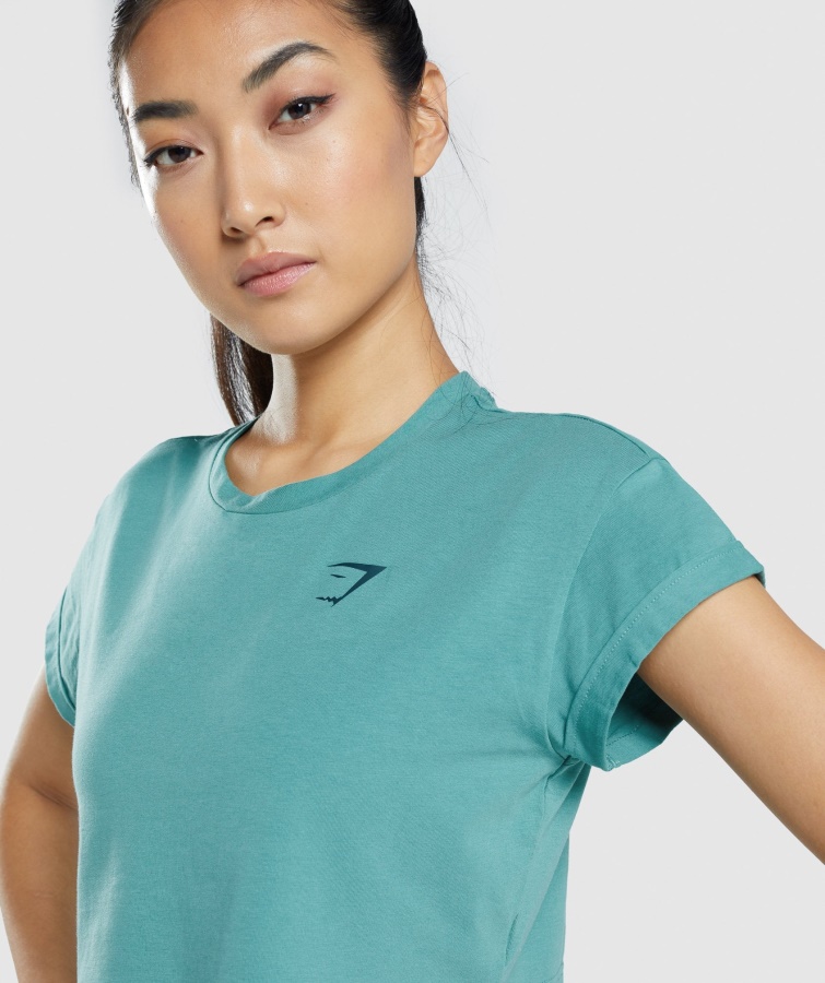 Animalsk Grafisk Afgrøde T-shirt Blågrøn Gymshark