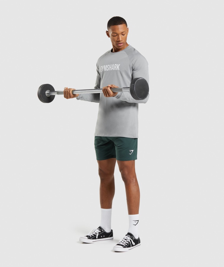 Apollo Langærmet T-shirt Smokey Grå Gymshark