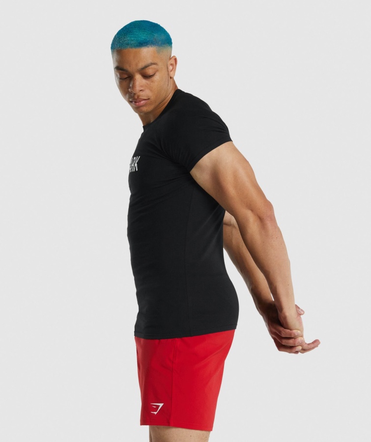 Apollo T-shirt Sort Gymshark