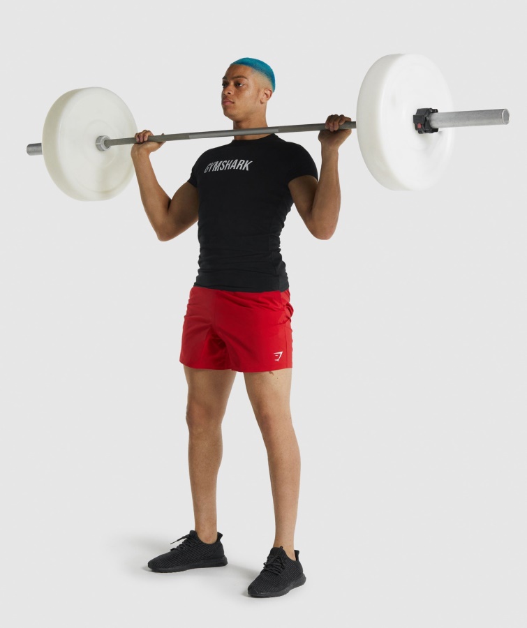 Apollo T-shirt Sort Gymshark