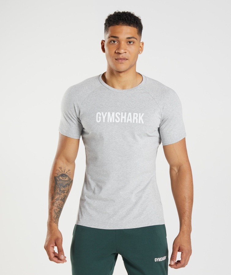 Apollo T-shirt Gymshark