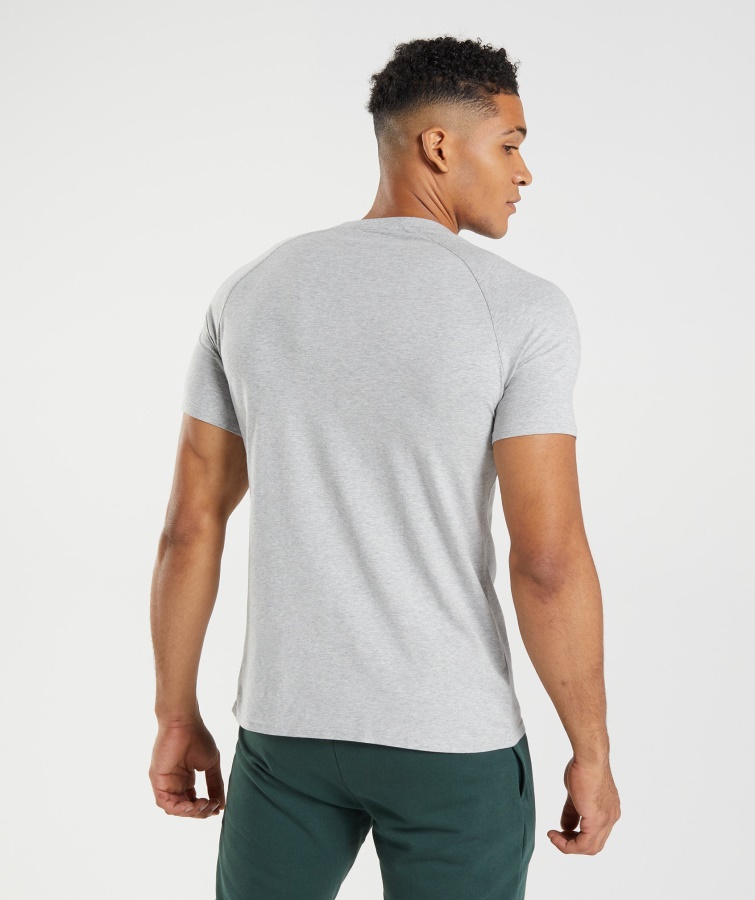 Apollo T-shirt Gymshark
