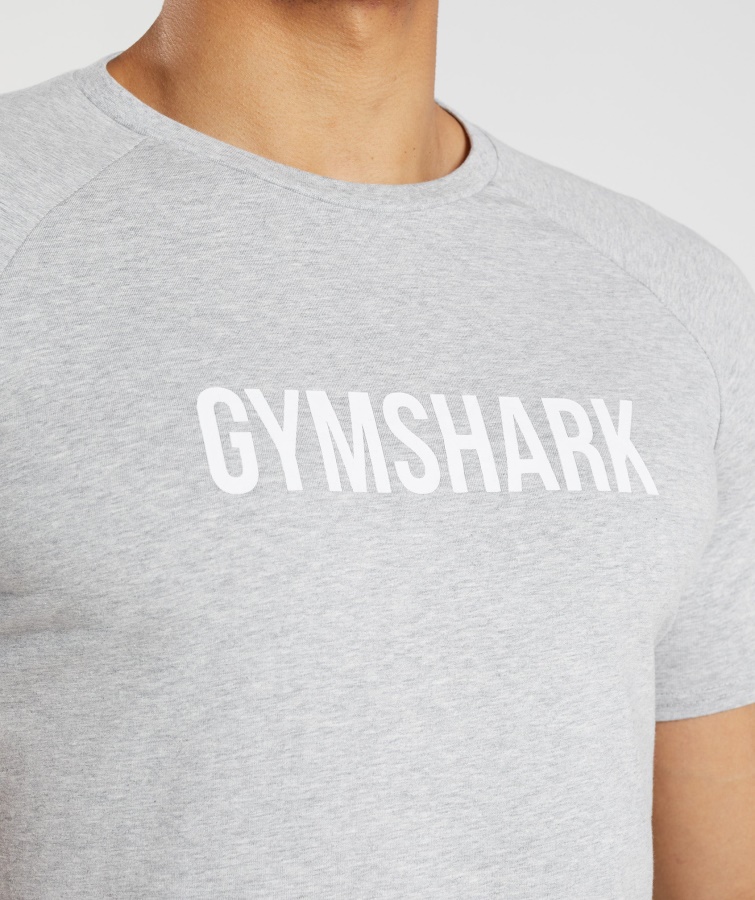 Apollo T-shirt Gymshark