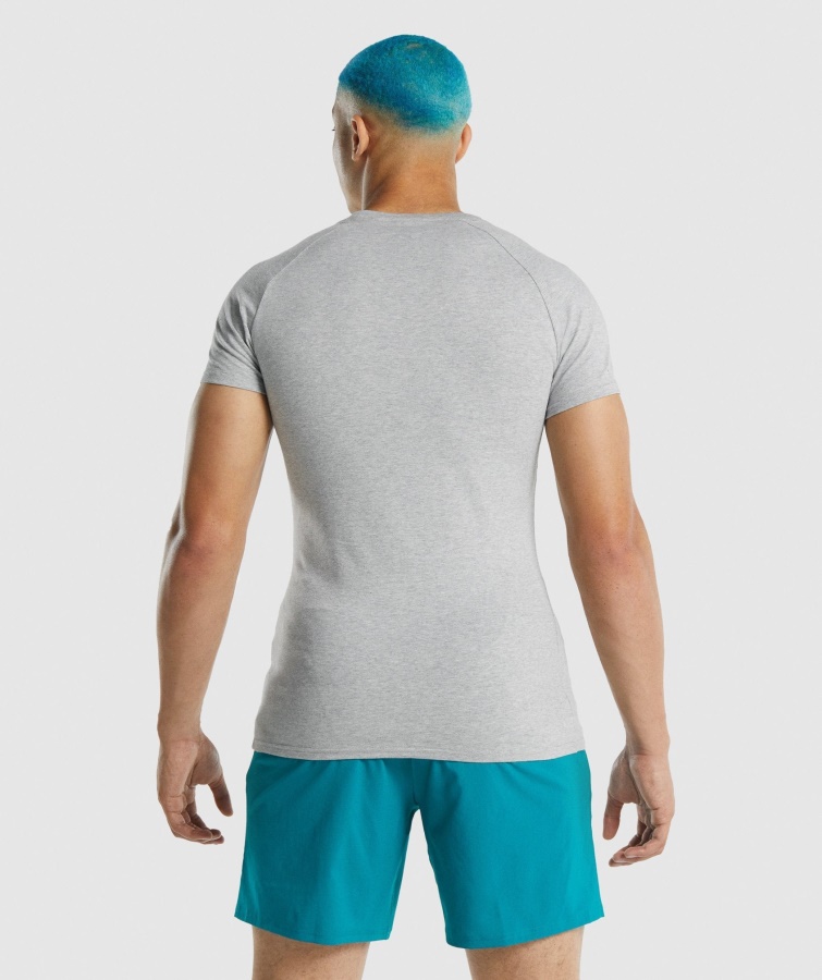 Apollo T-shirt Lysegrå Marl Gymshark