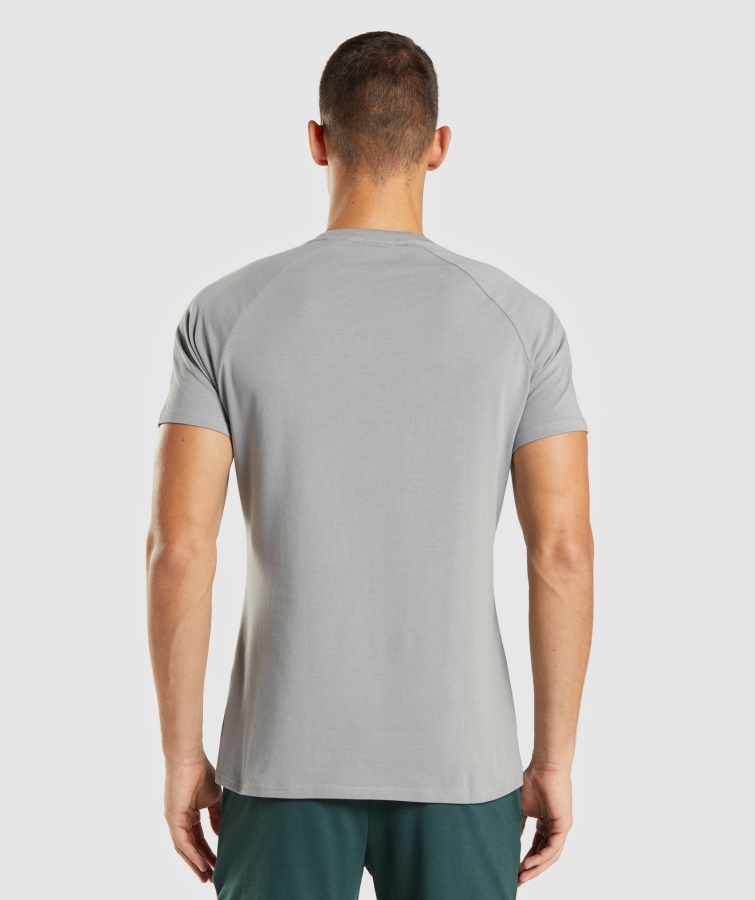 Apollo T-shirt Smokey Grey Gymshark