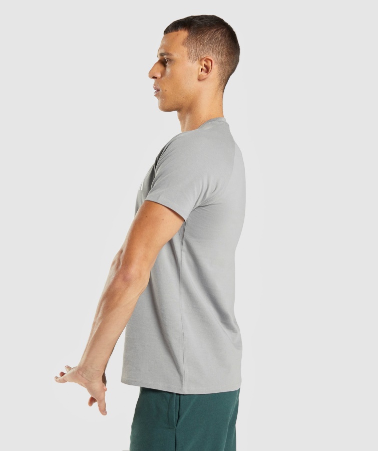 Apollo T-shirt Smokey Grey Gymshark