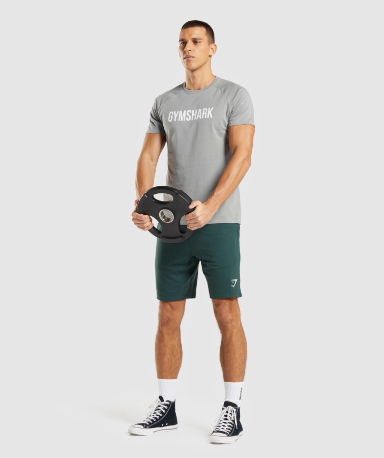 Apollo T-shirt Smokey Grey Gymshark