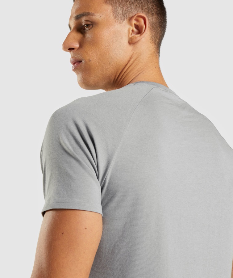 Apollo T-shirt Smokey Grey Gymshark