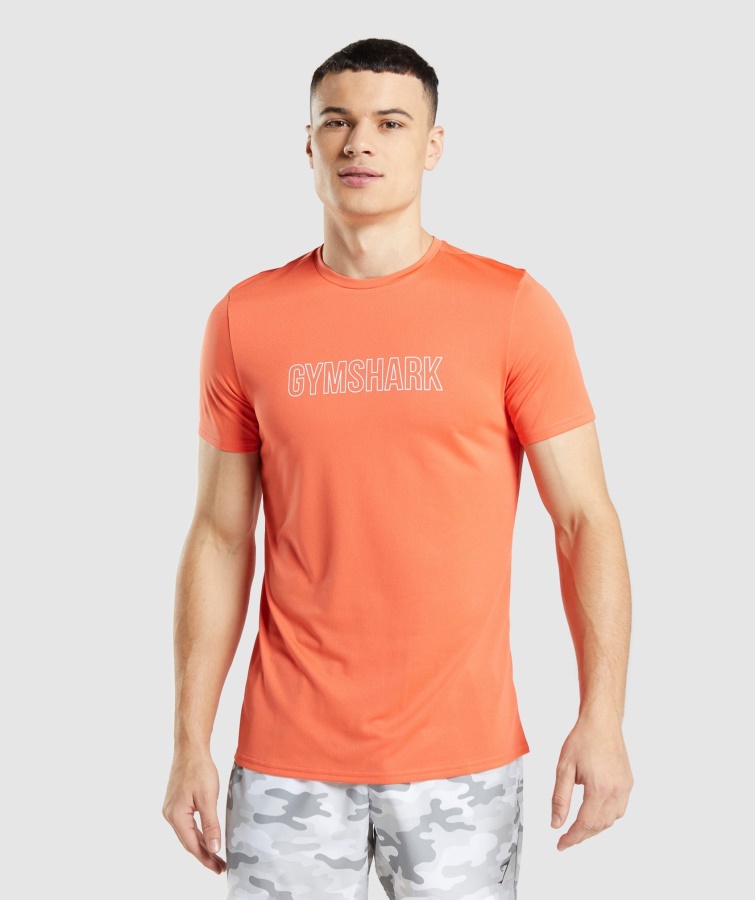 Ankomst Grafisk T-shirt Papaya Orange Gymshark