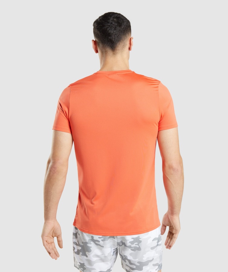 Ankomst Grafisk T-shirt Papaya Orange Gymshark