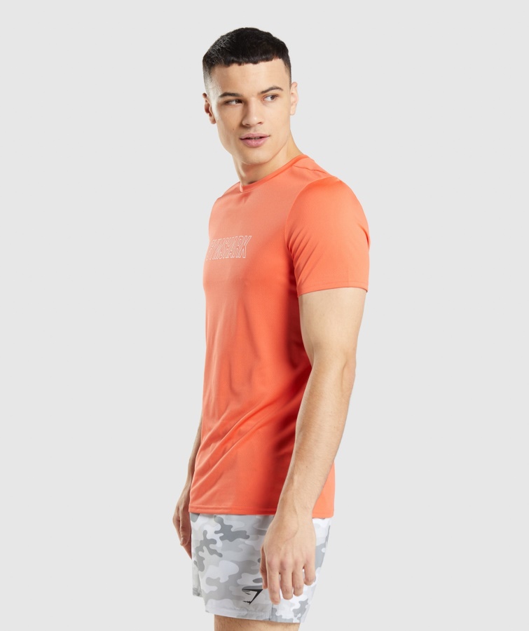 Ankomst Grafisk T-shirt Papaya Orange Gymshark