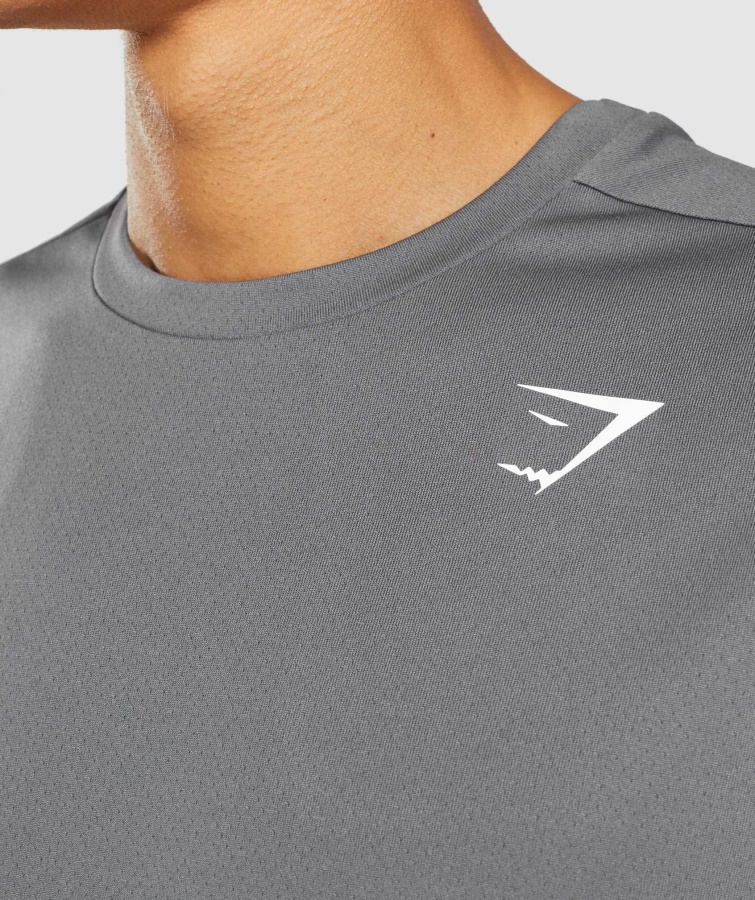 Ankomst T-shirt Silhuet Grå Gymshark