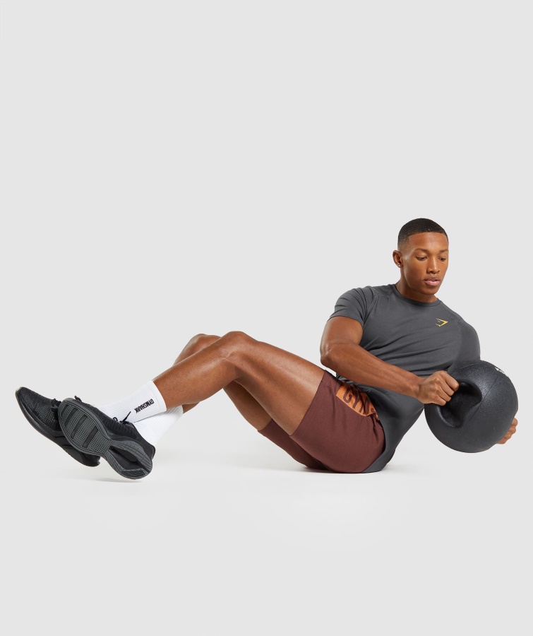 Fed T-shirt Gymshark