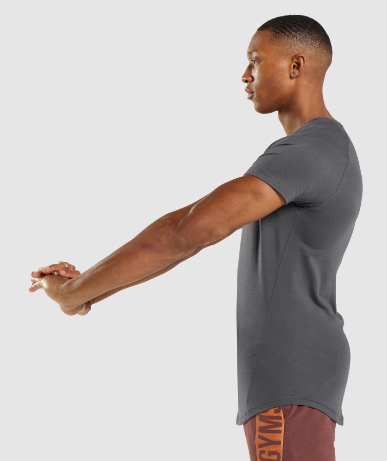 Fed T-shirt Onyx Grå Gymshark