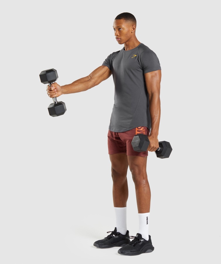 Fed T-shirt Onyx Grå Gymshark