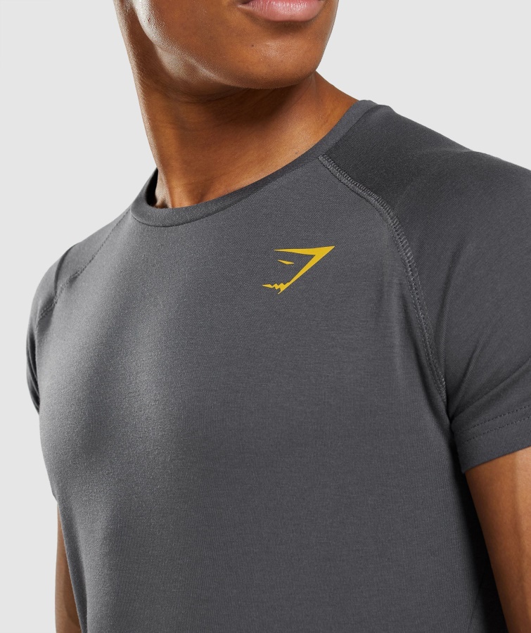 Fed T-shirt Onyx Grå Gymshark