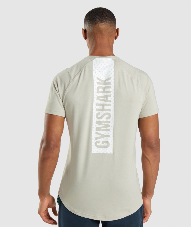 Fed T-shirt Pebble Grey Gymshark