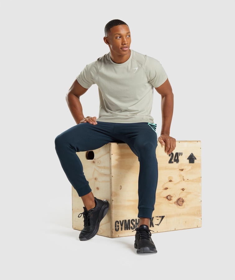 Fed T-shirt Pebble Grey Gymshark