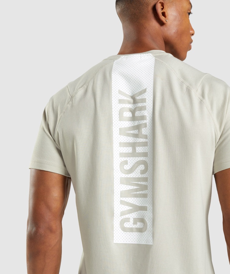 Fed T-shirt Pebble Grey Gymshark