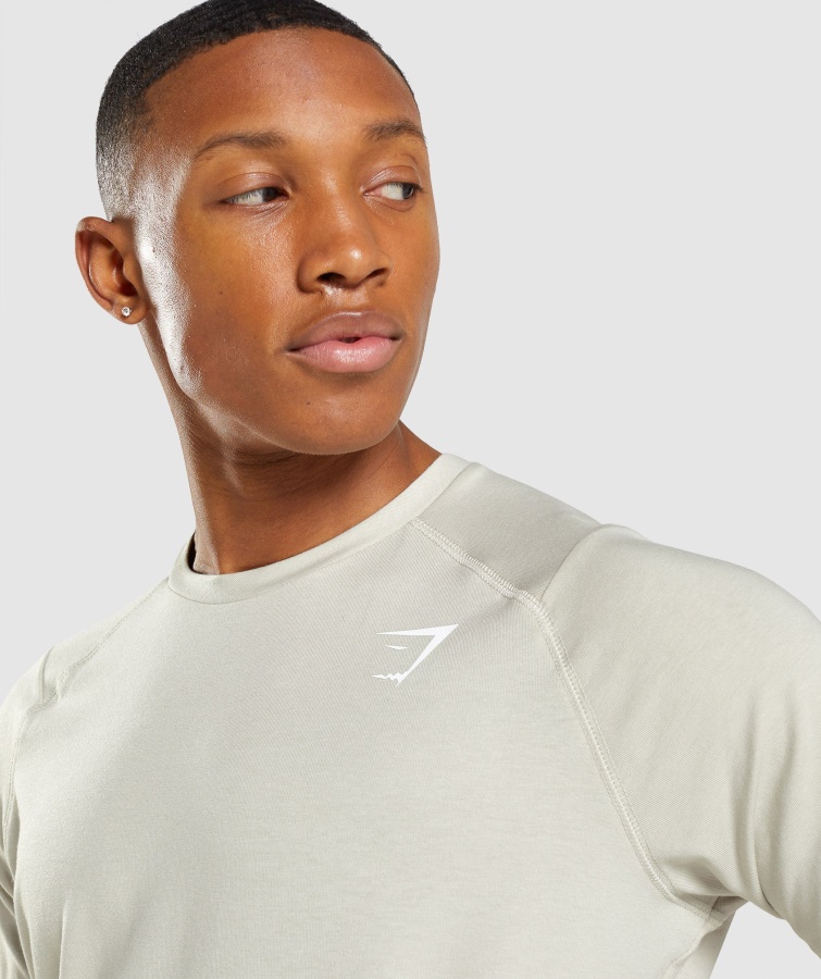 Fed T-shirt Pebble Grey Gymshark