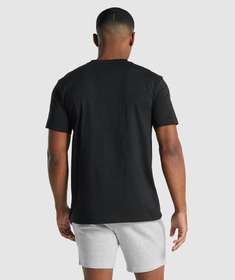 Crest T-shirt Sort Gymshark