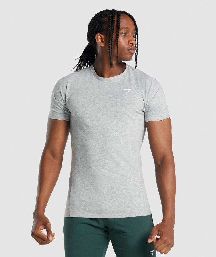 Kritisk 2.0 T-shirt Lysegrå Marl Gymshark