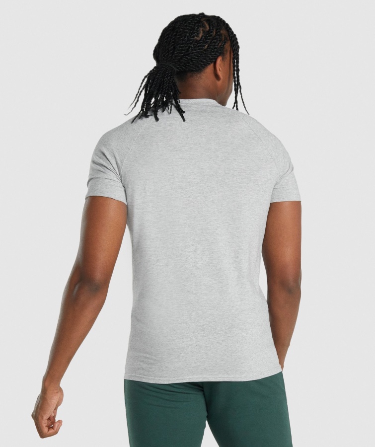 Kritisk 2.0 T-shirt Lysegrå Marl Gymshark