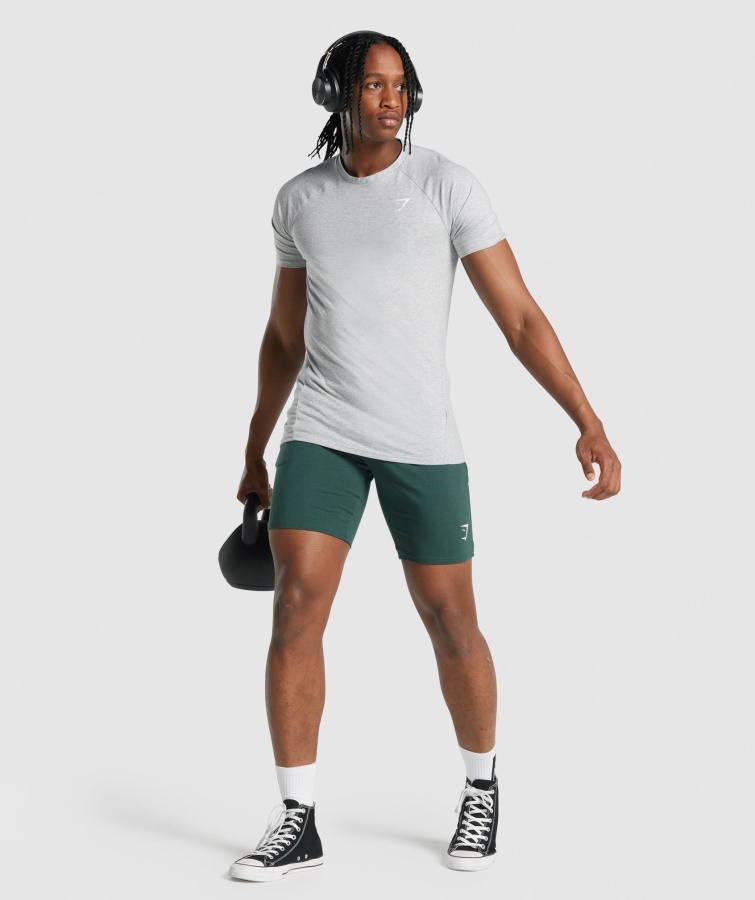 Kritisk 2.0 T-shirt Lysegrå Marl Gymshark