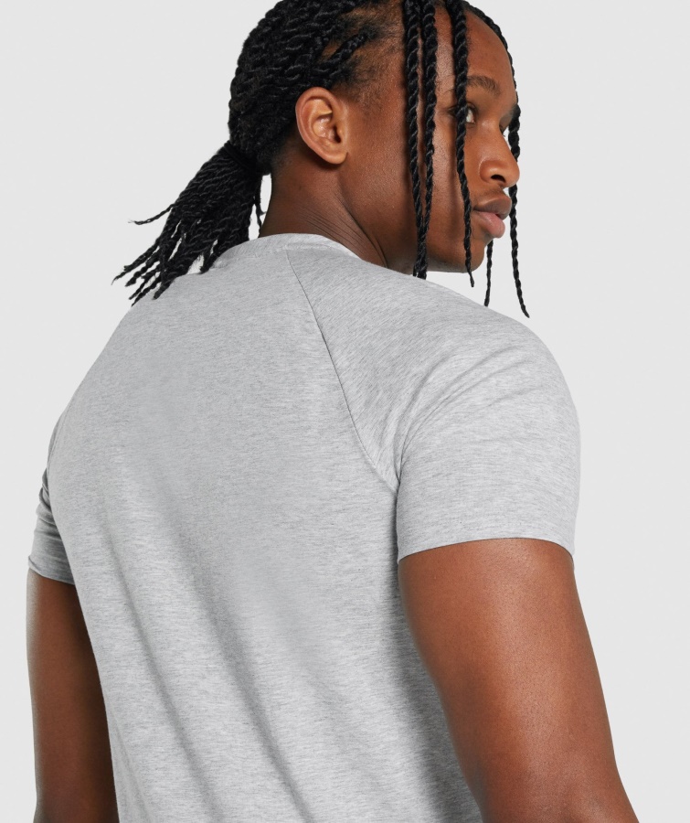 Kritisk 2.0 T-shirt Lysegrå Marl Gymshark