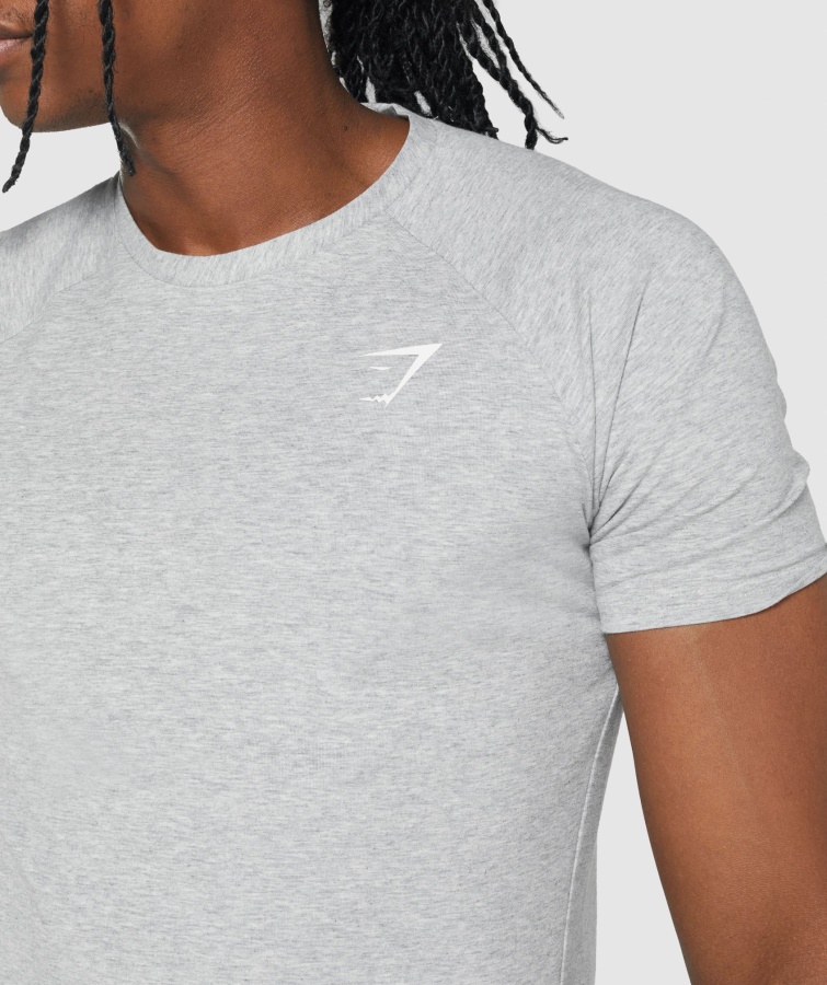 Kritisk 2.0 T-shirt Lysegrå Marl Gymshark
