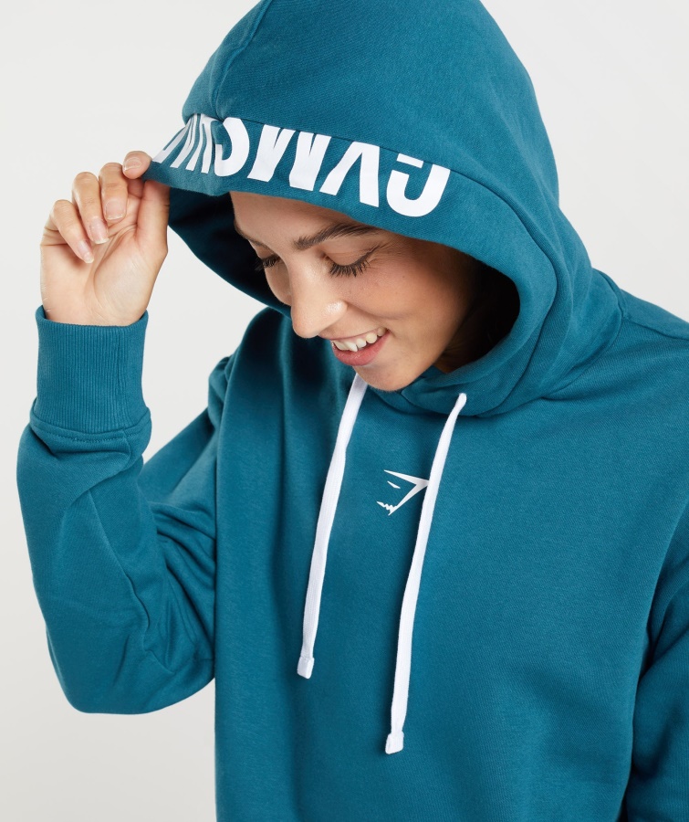 Fraktion Hættetrøje Atlantic Blue Gymshark