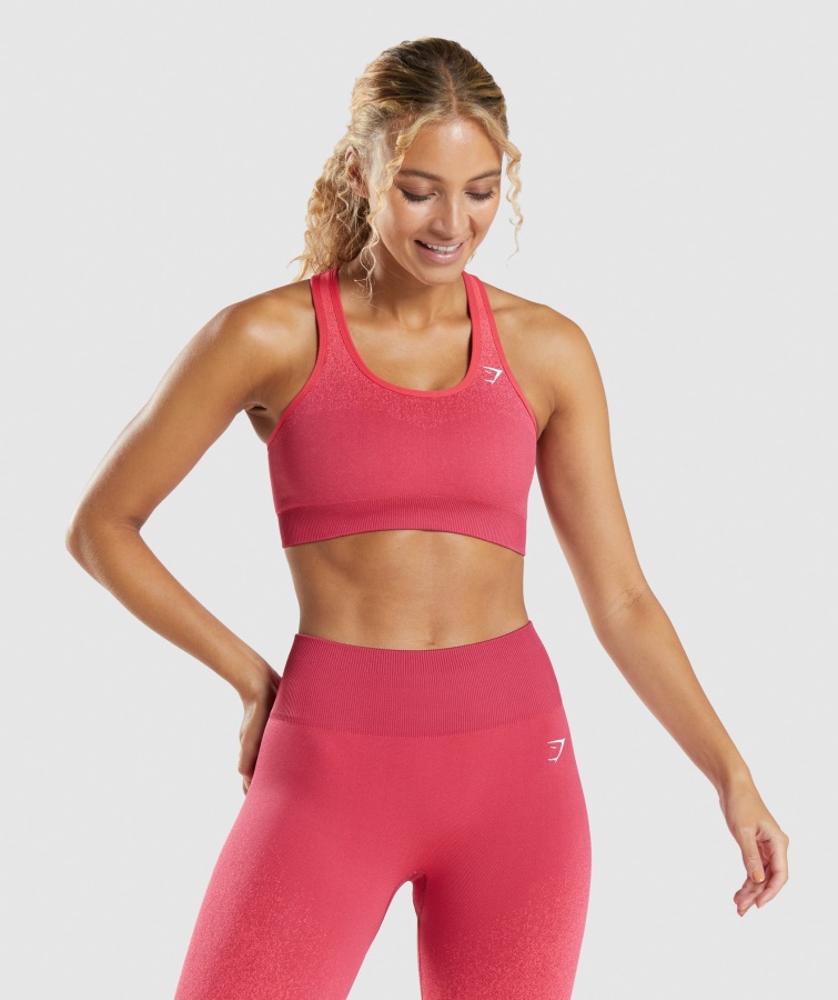 Gymshark Adapt Ombre Sømløs Sports-bh Pink-rød