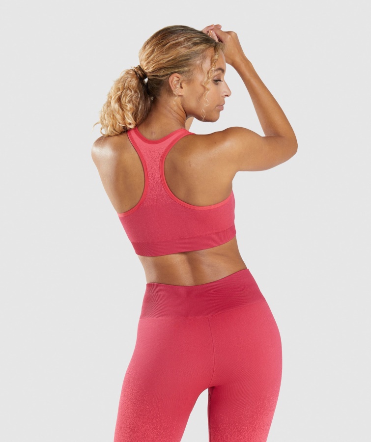 Gymshark Adapt Ombre Sømløs Sports-bh Pink-rød