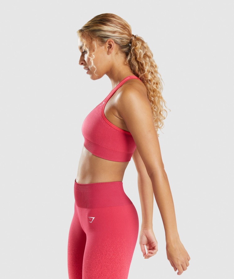 Gymshark Adapt Ombre Sømløs Sports-bh Pink-rød
