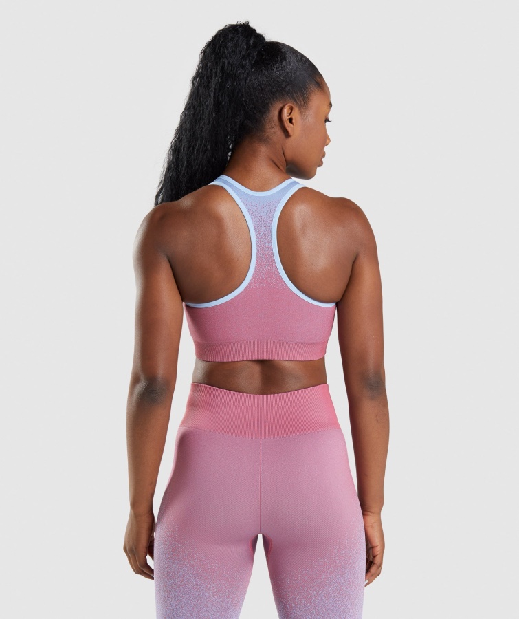 Gymshark Adapt Ombre Sømløs Sports-bh Rosa Pink-lyseblå