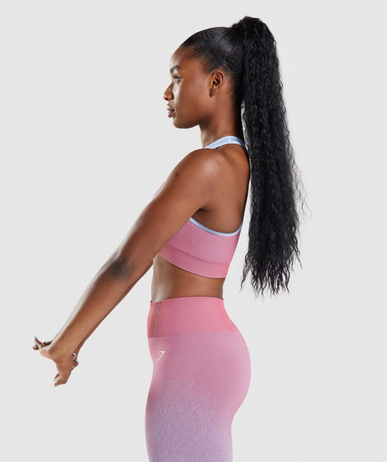 Gymshark Adapt Ombre Sømløs Sports-bh Rosa Pink-lyseblå