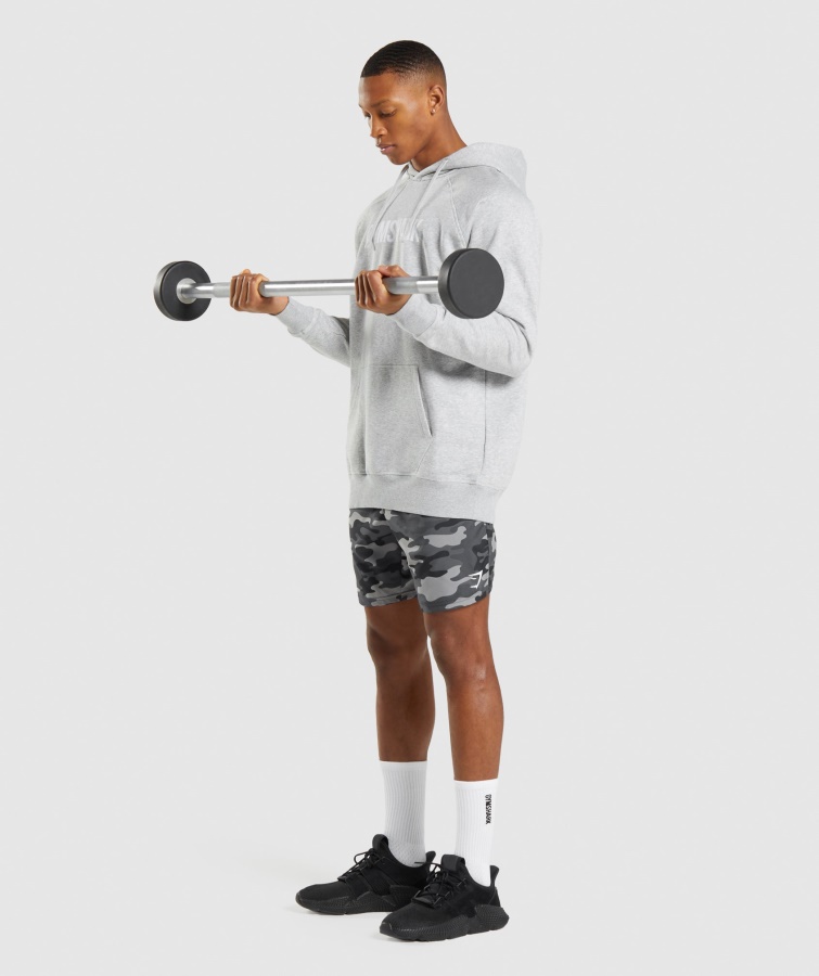 Gymshark Apollo Hættetrøje Lys Grå Kerne Mergel