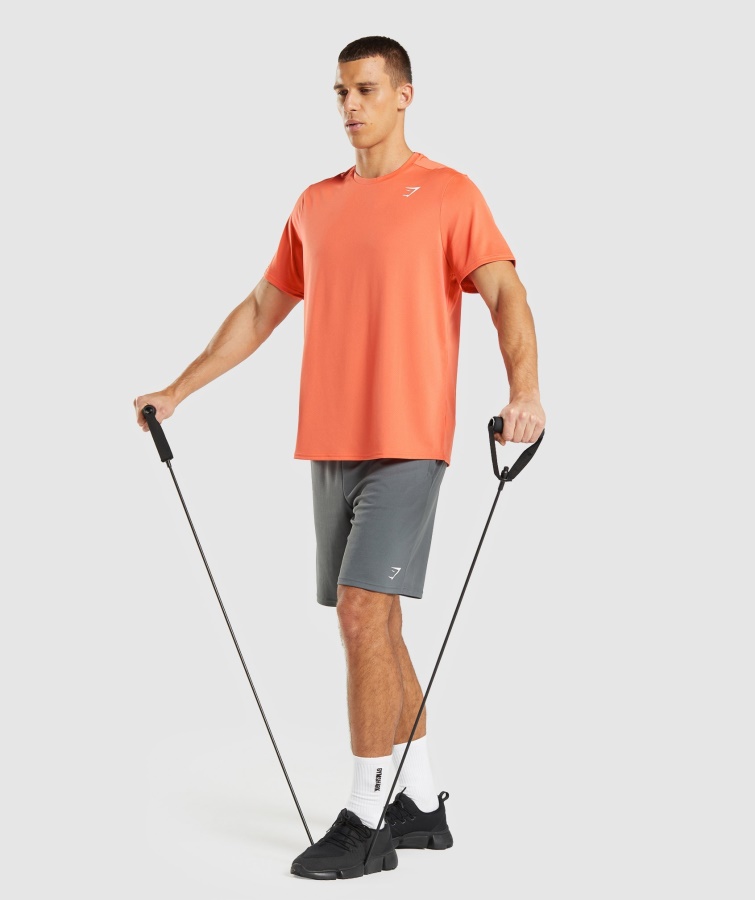 Gymshark Ankomst Regular Fit T-shirt Papaya Orange