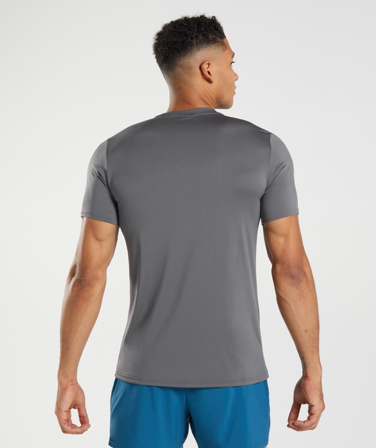 Gymshark Ankomst T-shirt Silhouette Grå