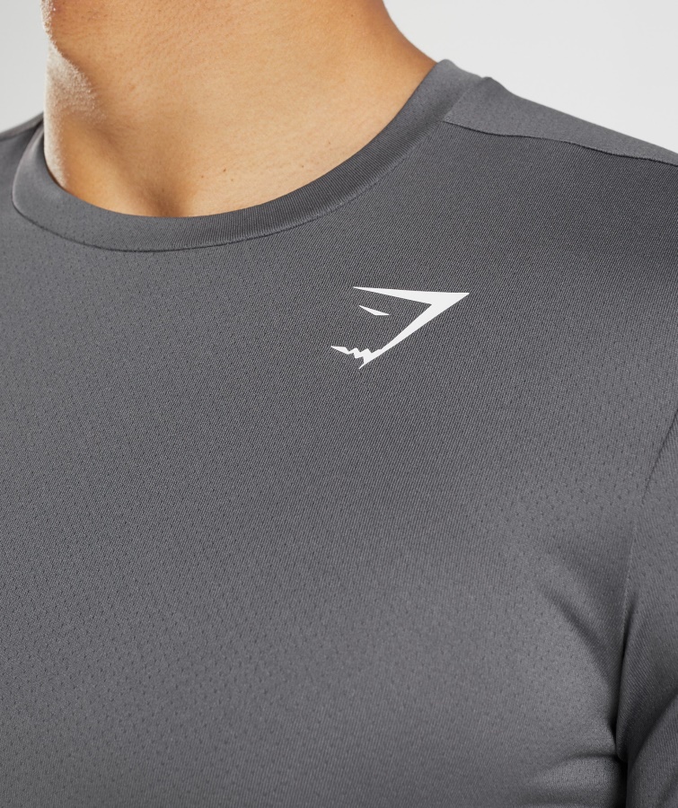 Gymshark Ankomst T-shirt Silhouette Grå