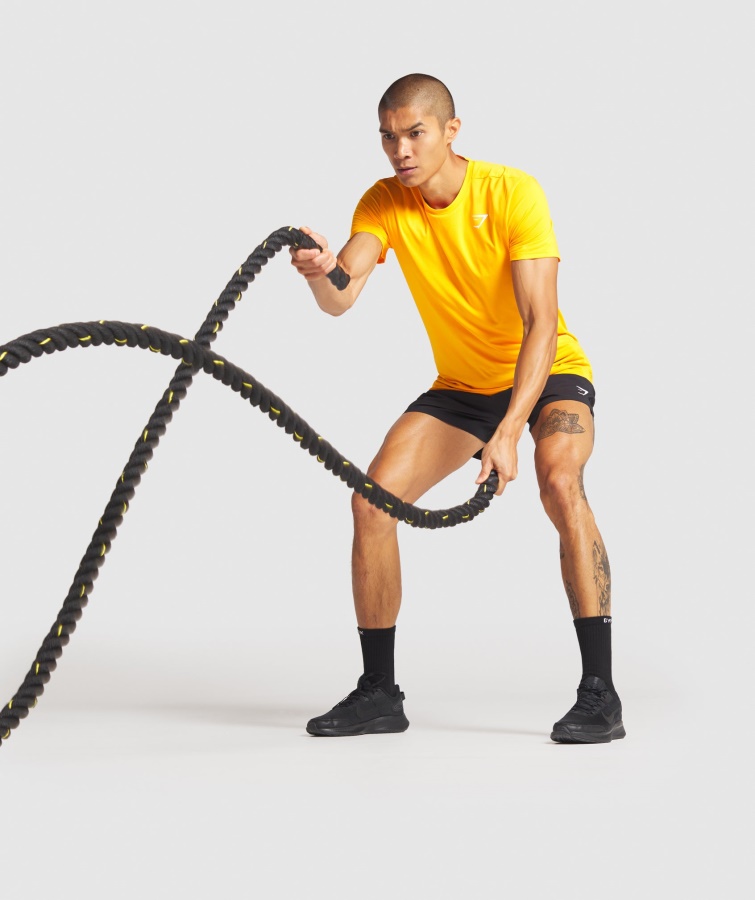 Gymshark Sorte Ankomst 5