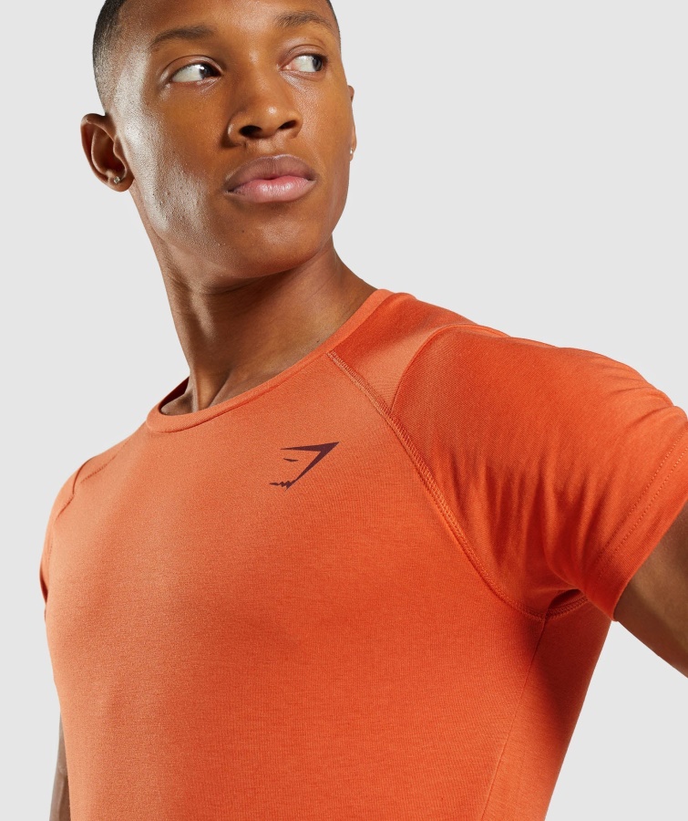 Gymshark Fed T-shirt Ler Orange