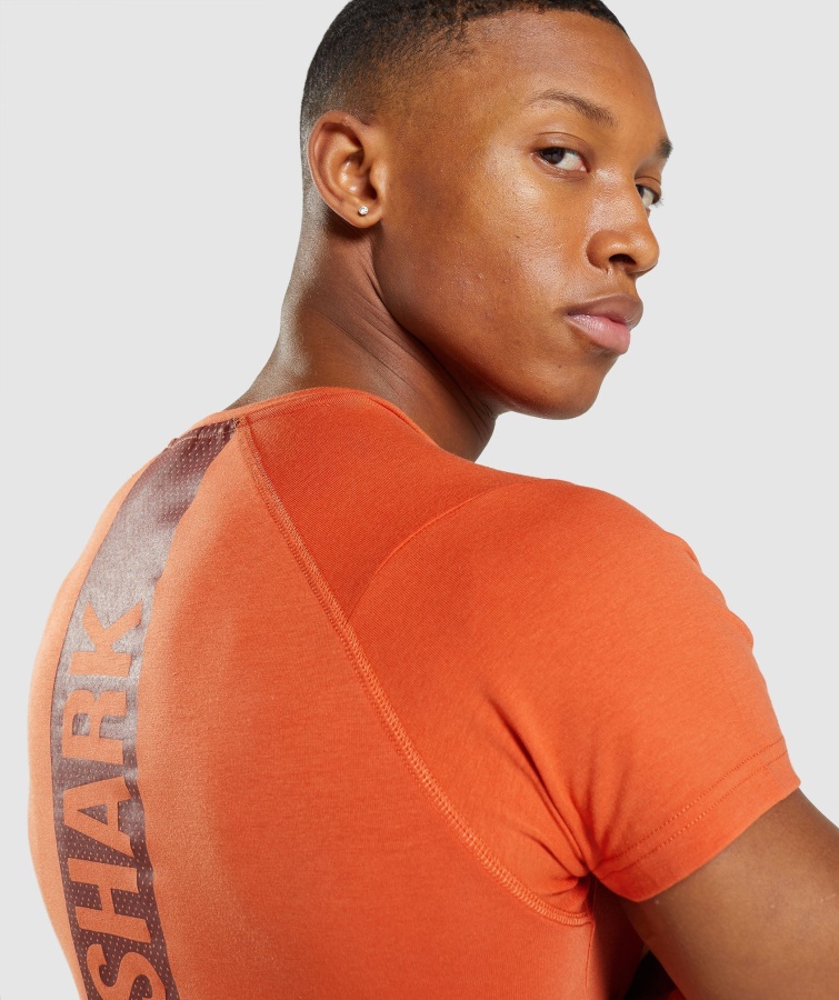 Gymshark Fed T-shirt Ler Orange