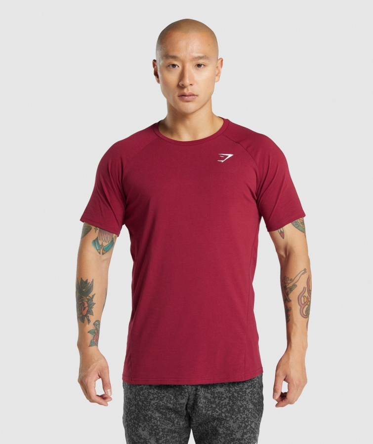 Gymshark Burgundy Critical 2.0 T-shirt