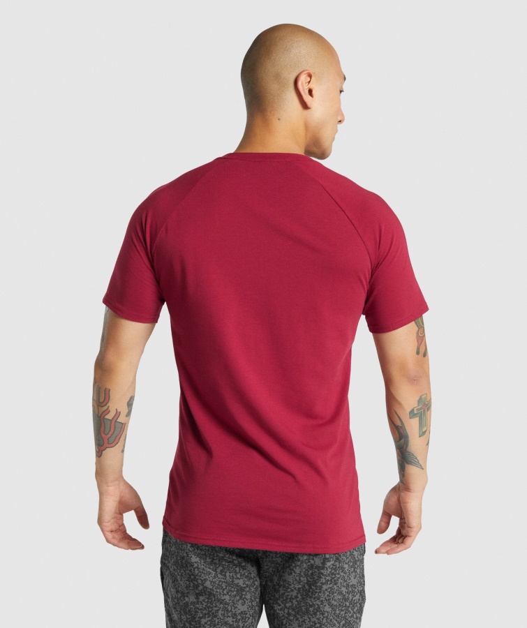 Gymshark Burgundy Critical 2.0 T-shirt