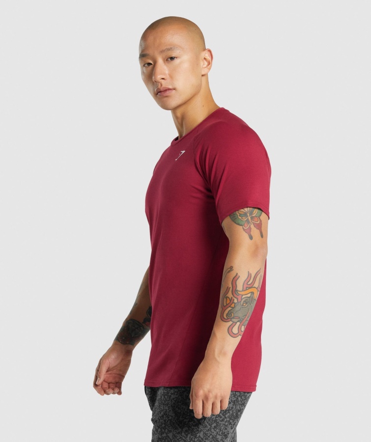Gymshark Burgundy Critical 2.0 T-shirt